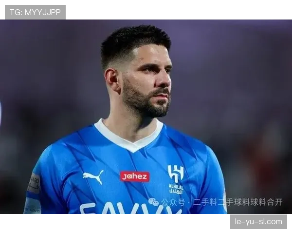 米特罗维奇新赛季表现引热议，前锋市场价值持续攀升