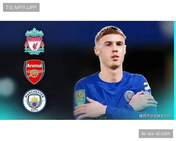 切尔西帕尔默的真实水平：战术角色与核心数据全面剖析