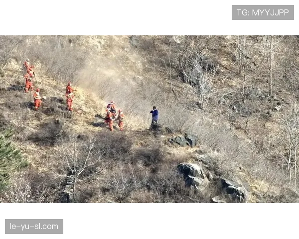 防线前第一屏障：坎特的战术定位